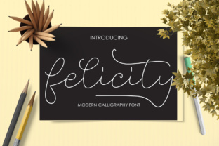 Felicity Typeface Review: A Calligraphic Script for Modern Branding