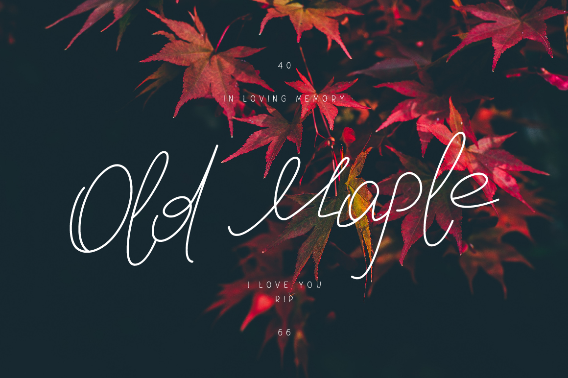 Old Maple Typeface: A Script Amp Review for Small Business Branding
