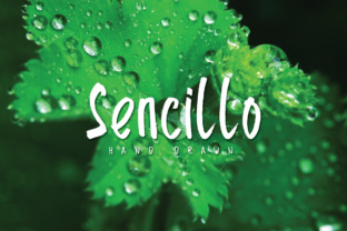 Sencillo: A Hand-Drawn Typeface for Authentic Brand Identity