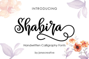 Shabira Typeface: Adding Playful Flow to Modern Web Layouts