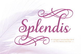 Splendis Font Review: A Handwritten Slant for Elegant Branding