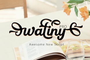 Wattiny Pro: The Bold Script Font for Scroll-Stopping Social Media Graphics