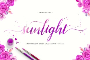 Why Sunlight Is the Modern Script Font Your Campaign Needs